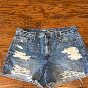American Eagle Outfitters Women's Denim Distressed Shorts